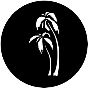 Palm Trees