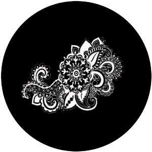 Paisley 12B