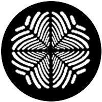 Geometrics 11