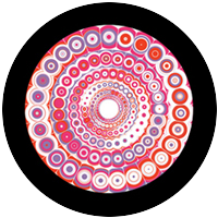 Pucci Spin 1