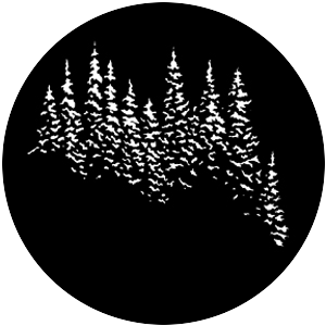 Evergreens