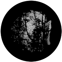 Meshed Woodlands