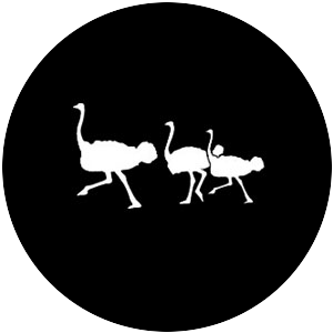 Ostrich