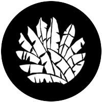 Banana Leaves