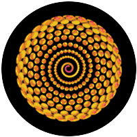 Spiral Bling