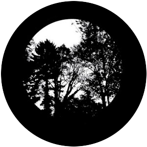 Static Trees