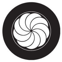 Shell Crop Circle