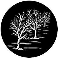 Three Trees