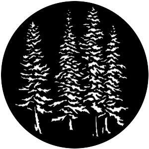 Evergreen Trees
