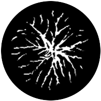Kinetic Burst