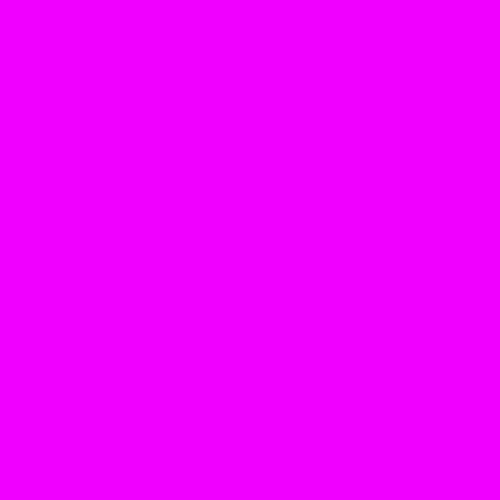 R349 Fisher Fuchsia