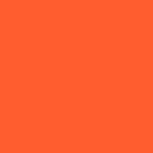 R41 Salmon