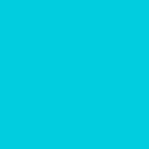 R370 Italian Blue