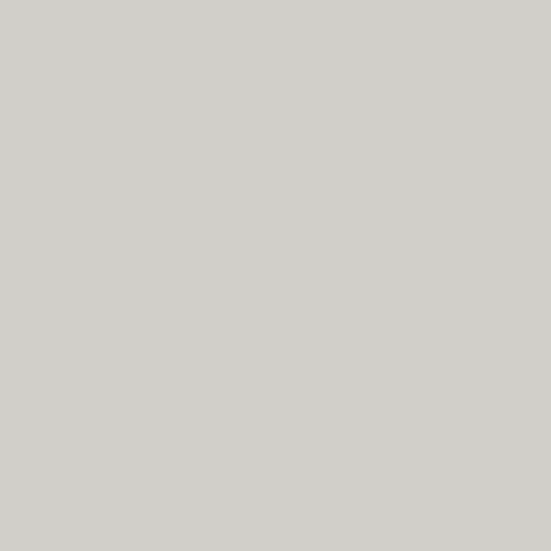 R397 Pale Grey