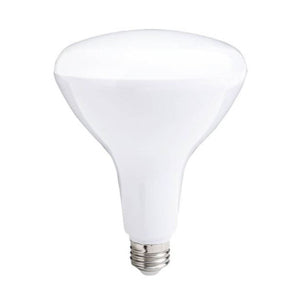Ushio 17LED/BR40/WFL112/SW27 - 17W 120V E26